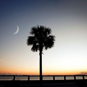 Meet your Posher, Sissy